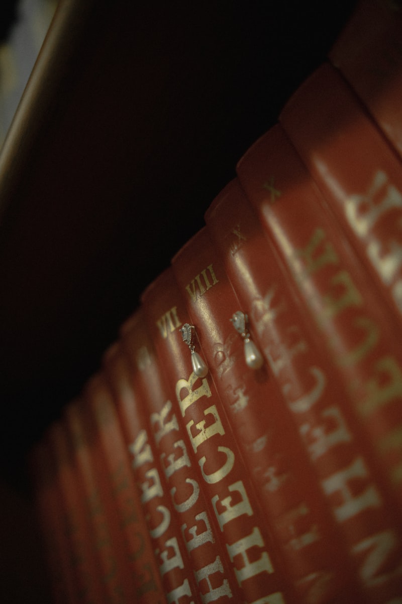 Schaffer Collaterals: The Key to Memory Encoding