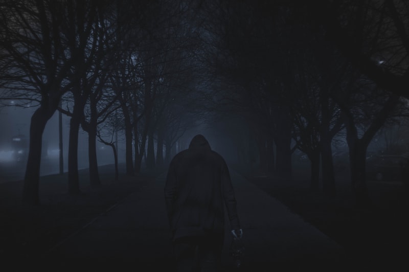 Scotopic Vision: How Your Mind Perceives the Dark