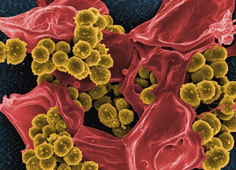 Viral Pathogens: Decoding the Psychology of Fear