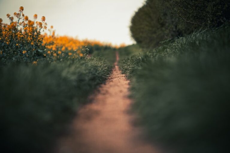 Well-being: Unlock Your Path to a Flourishing Life