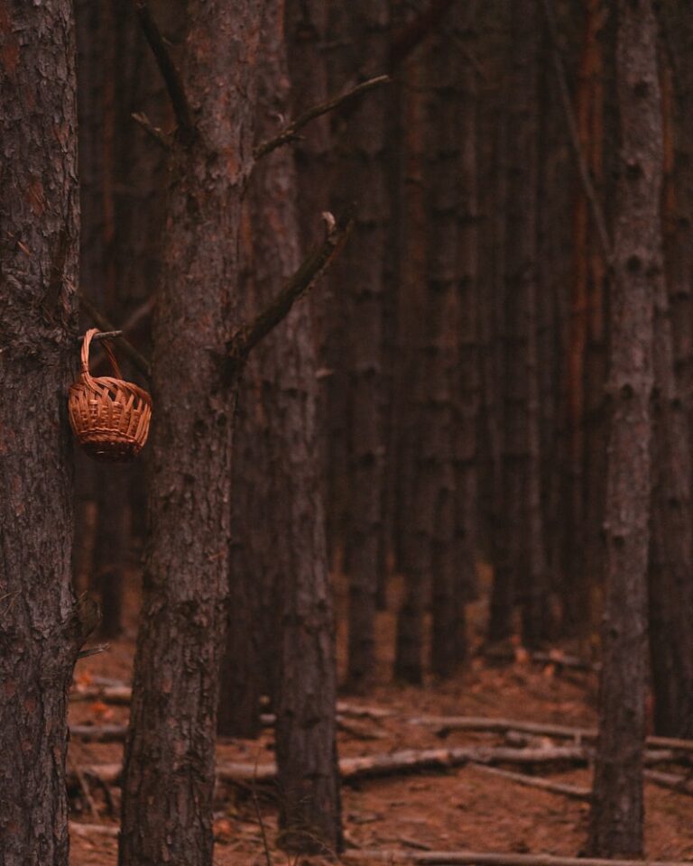 Basket Endings: Unlocking Hidden Patterns of Human Thought