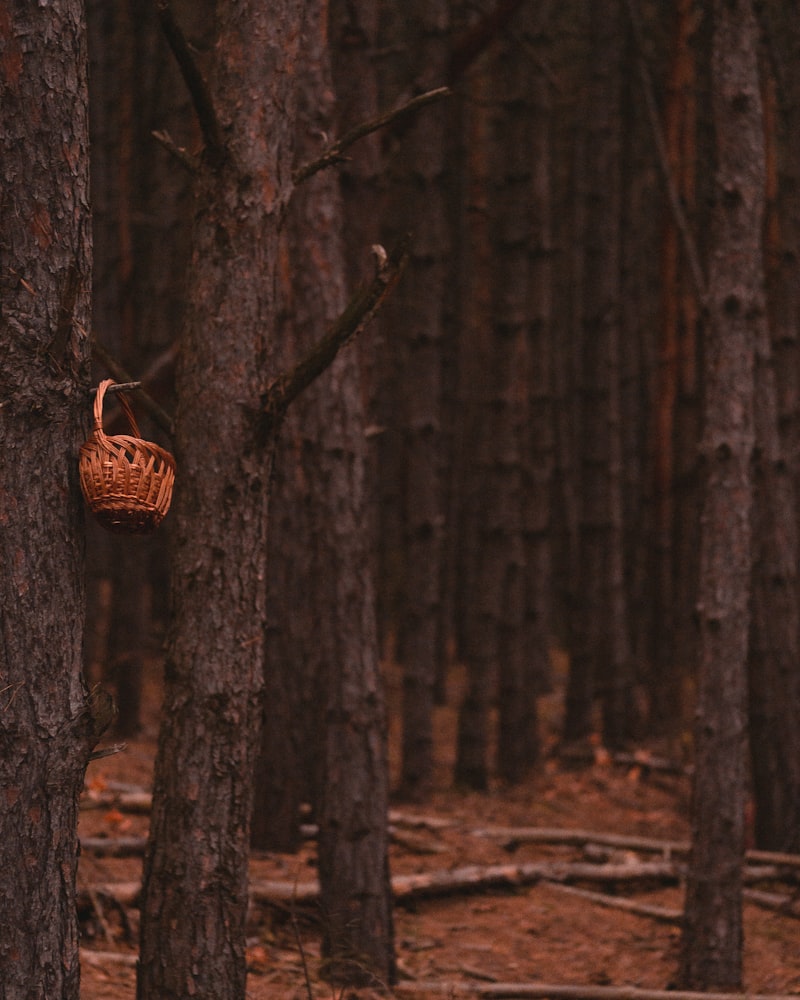 Basket Endings: Unlocking Hidden Patterns of Human Thought
