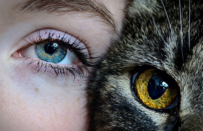 Cat-Eye Syndrome: Understanding Rare Genetic Neurodiversity