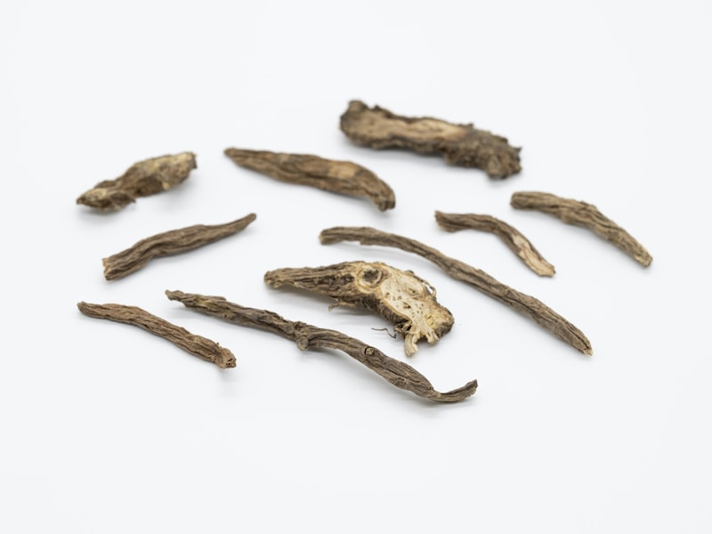 Cognitive Enhancement: Unlocking the Power of Suma Root