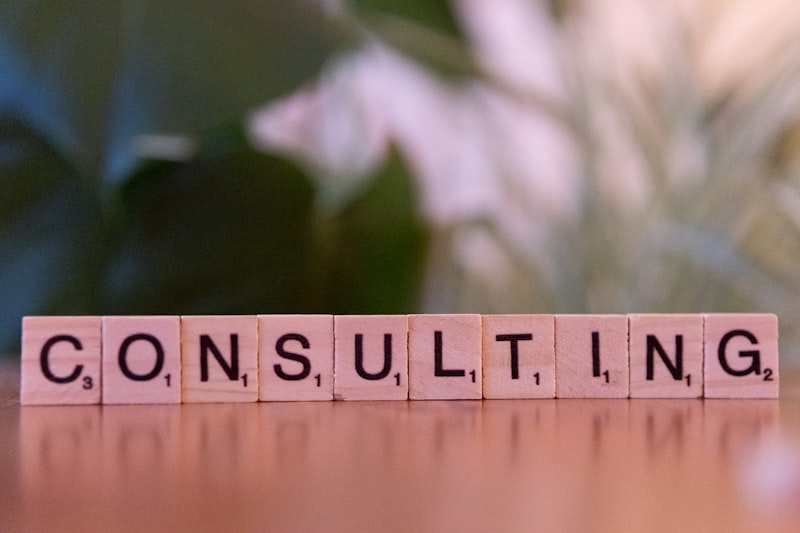 Consulting Psychology: Elevating Organizational Potential