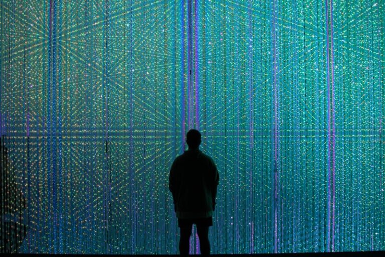 Digital Cognition: How the Web Reshaped Human Memory