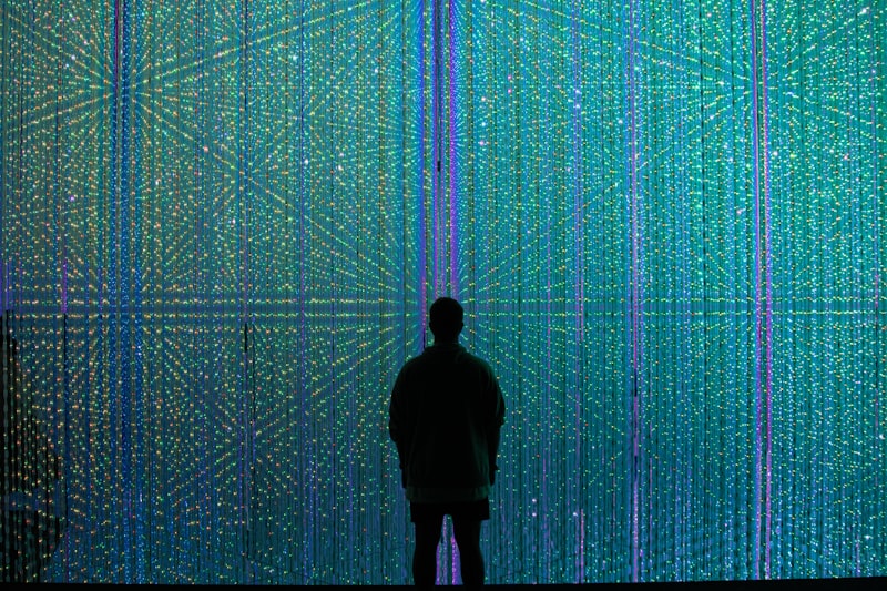 Digital Cognition: How the Web Reshaped Human Memory