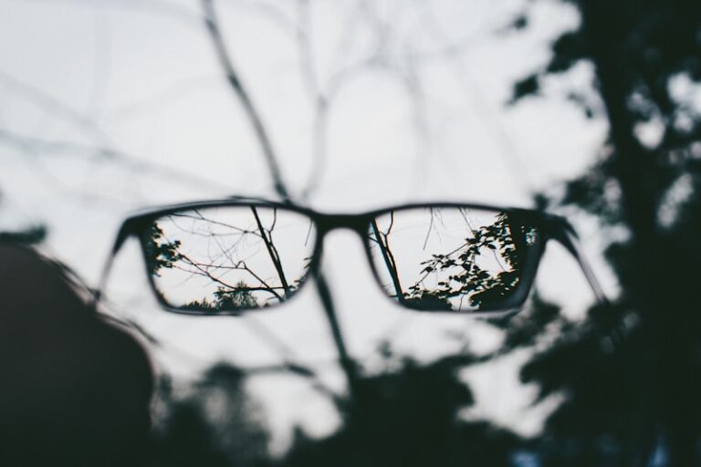 Frame of Reference: How Your Mental Lens Shapes Reality
