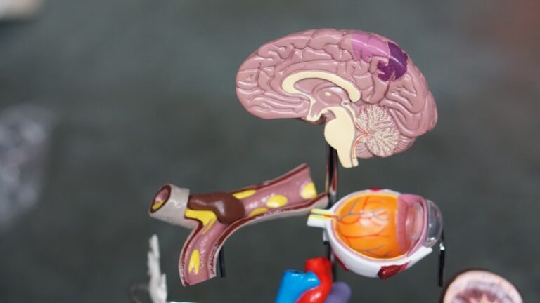 Functional Amblyopia: Why Your Brain Ignores Your Eyes