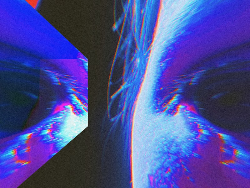 Intermetamorphosis: The Mind’s Distorted Reality