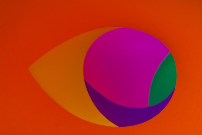 Interposition: How Overlap Shapes Our Visual World