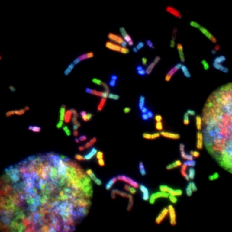 Intersexuality: Understanding the Biological Spectrum