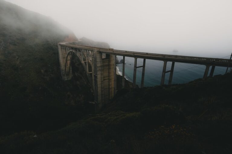 Intersubjectivity: The Bridge Between Minds