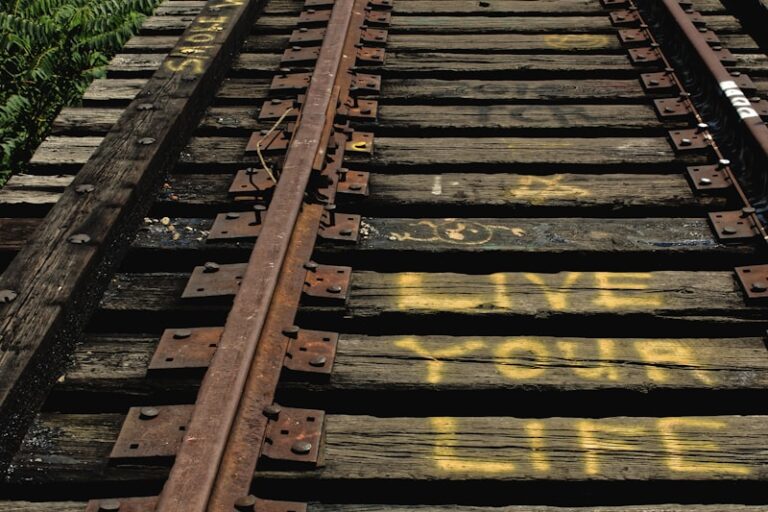 Life Crisis: Navigating Your Path Through Turmoil