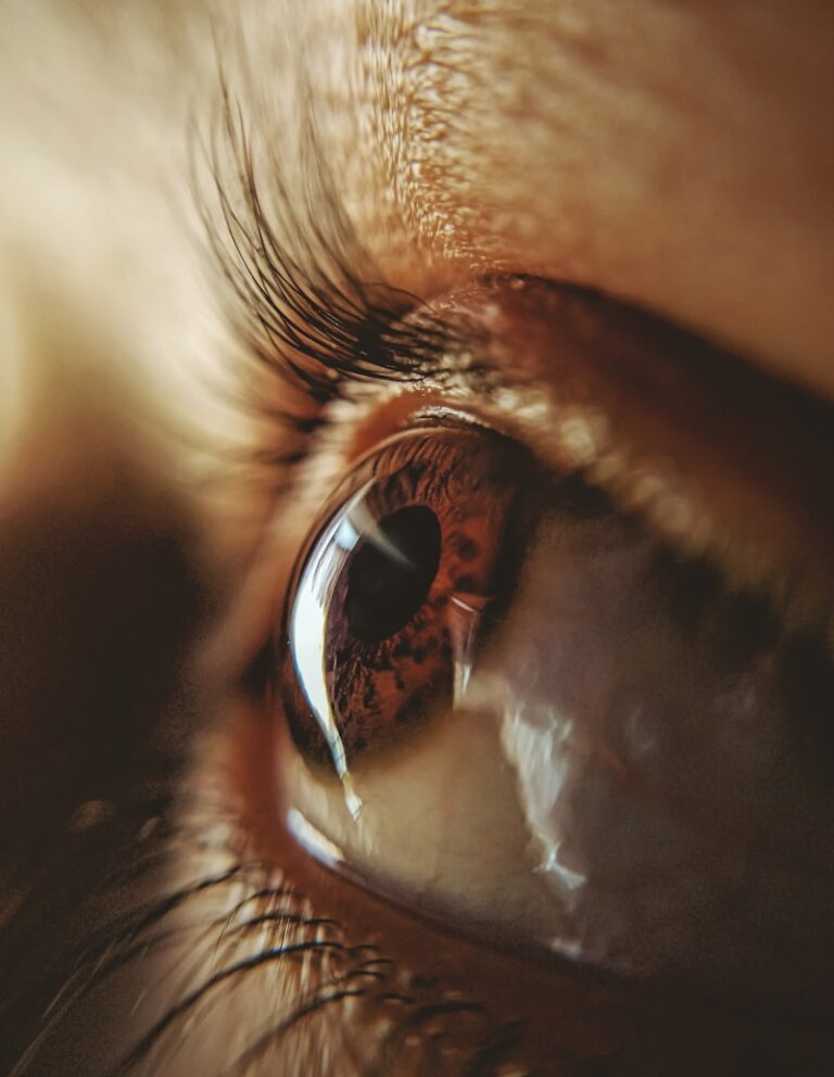 Saccadic Time: Why Your Eyes Never Truly Rest
