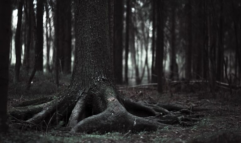 Schizophreniagenic: Unmasking the Roots of Psychosis