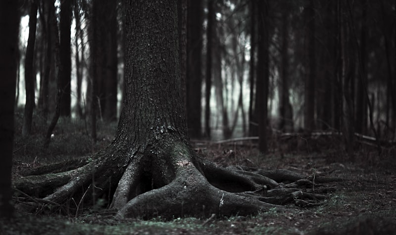 Schizophreniagenic: Unmasking the Roots of Psychosis