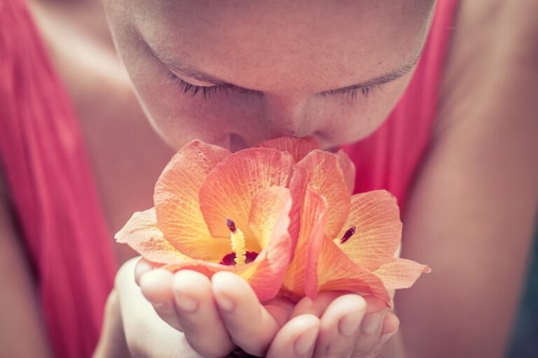 The Pyriform Area: Unlocking the Science of Smell
