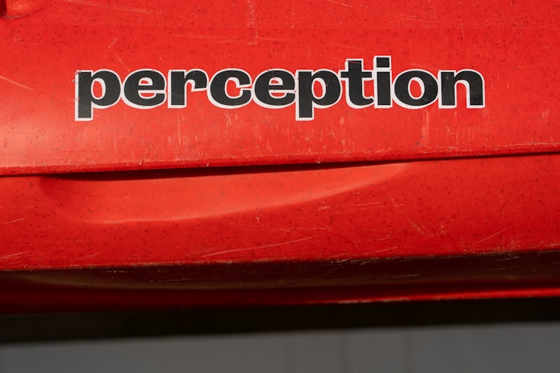 Weber-Fechner Law: Why Your Perception Isn't Reality