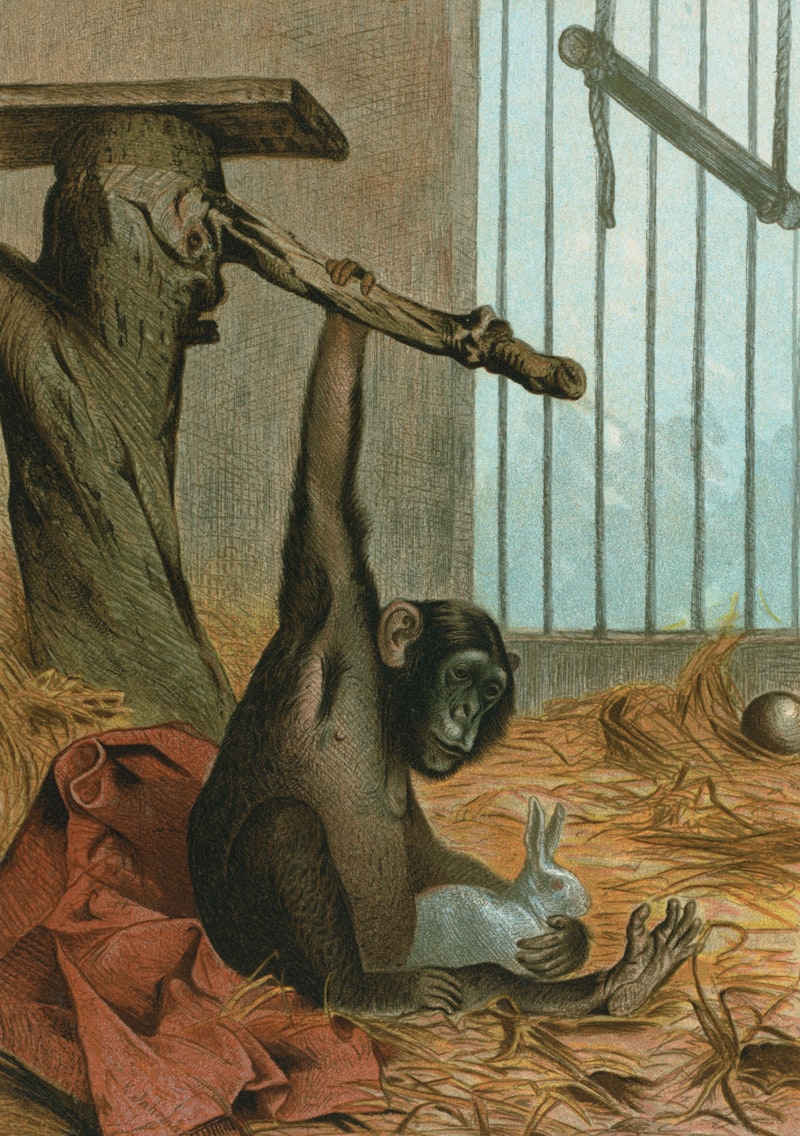 Animal Ethics: The Psychology of Scientific Progress