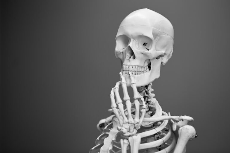 Auditory Perception: How Tiny Bones Shape Your Reality