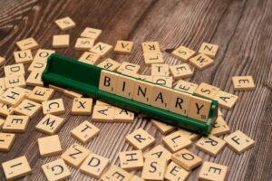 Binary Choice Modeling: Decoding How We Make Decisions