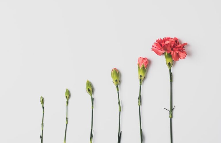Developmental Growth: Steady Evolution or Sudden Leaps?