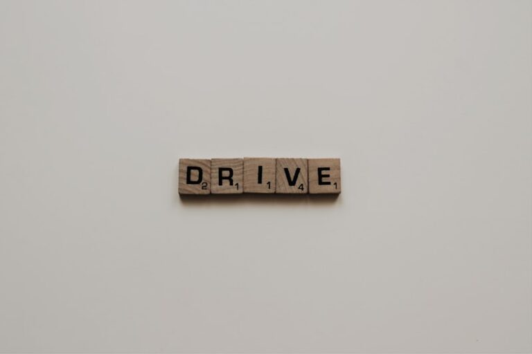 Drive-Reduction Theory: Why We Do What We Do