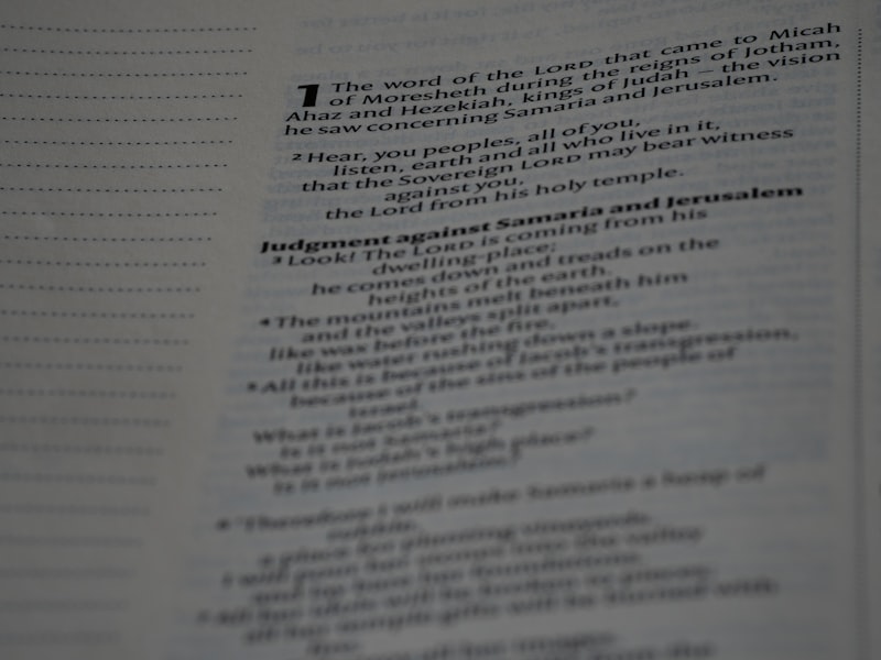 Foundational Competencies: The Blueprint of Human Growth