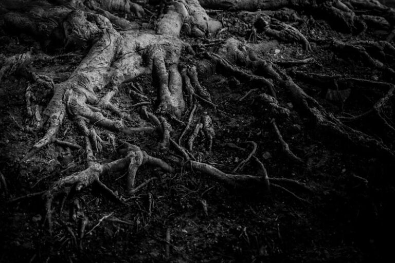 Metapathology: Unlocking the Roots of Human Suffering