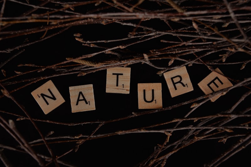 Nature-Nurture: Decoding What Shapes Your True Identity