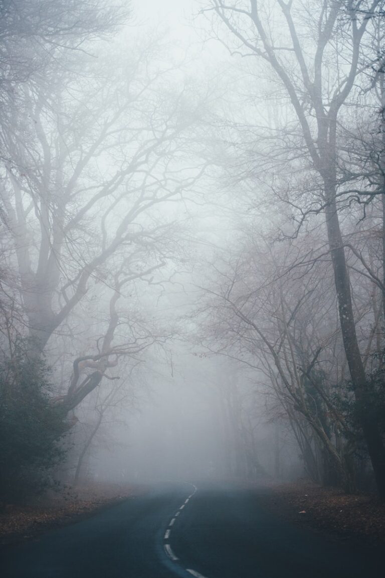 Obnubilation: The Fog of the Mind