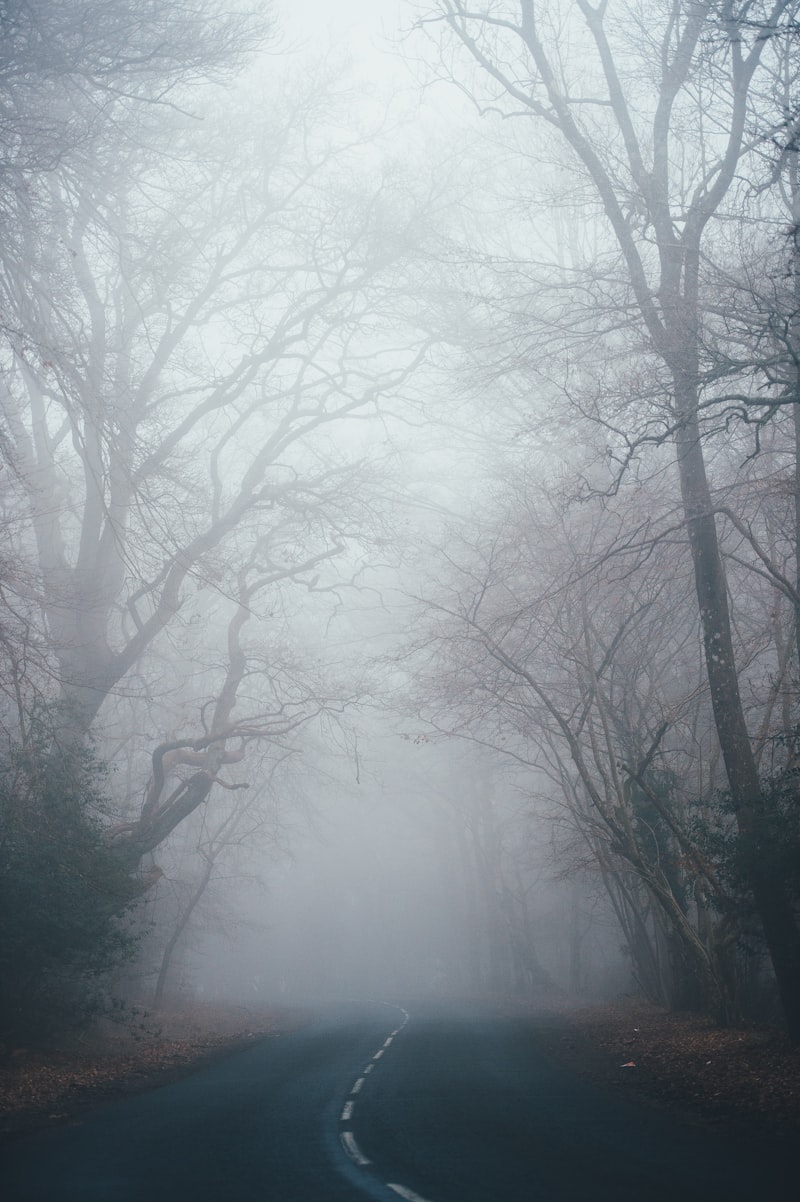 Obnubilation: The Fog of the Mind