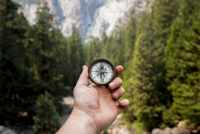 Organismic Valuing: Trust Your Inner Compass