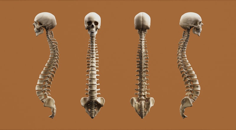 Orthogenetic Principle: Evolution of Human Development