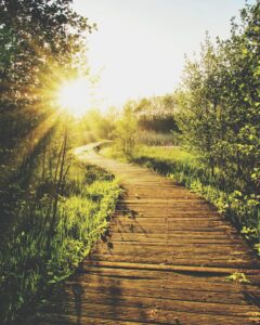 Therapeutic Intensity: Finding Your Path to Healing