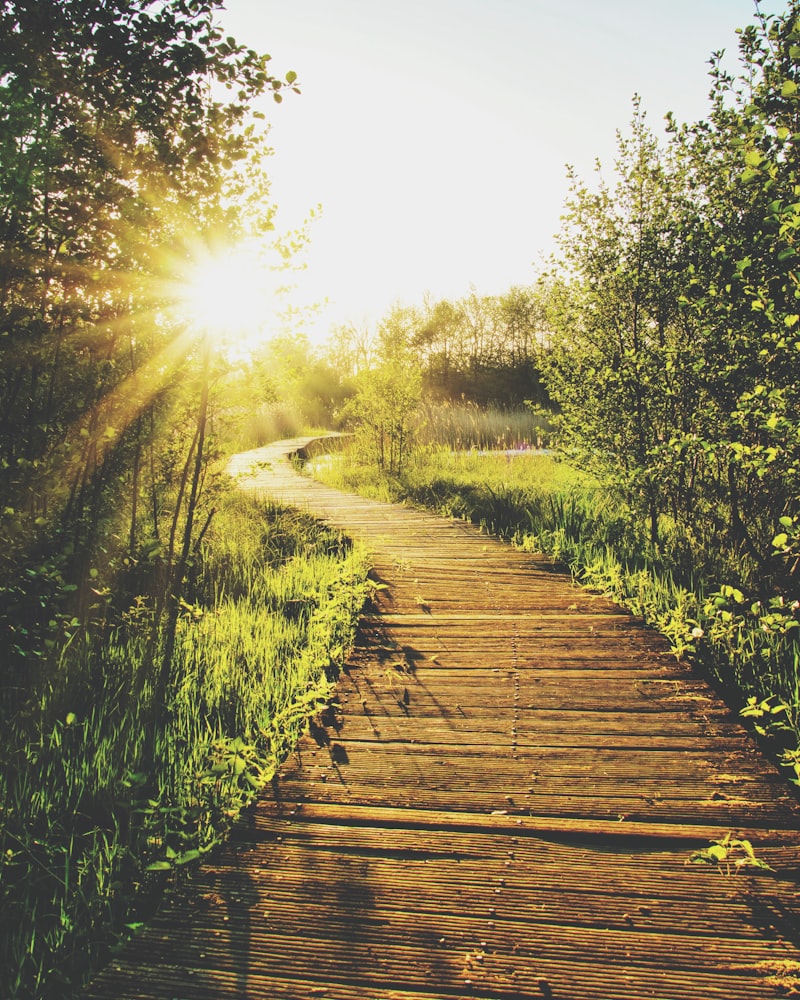 Therapeutic Intensity: Finding Your Path to Healing