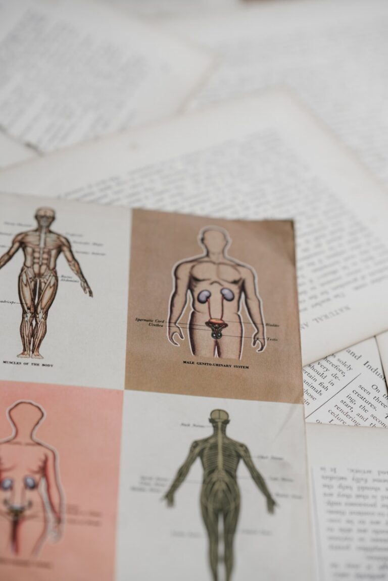 Biological Foundations: The Blueprint of Human Vitality