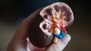 Chronic Kidney Disease: The Hidden Mind-Body Connection