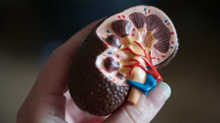 Chronic Kidney Disease: The Hidden Mind-Body Connection