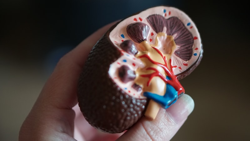 Chronic Kidney Disease: The Hidden Mind-Body Connection