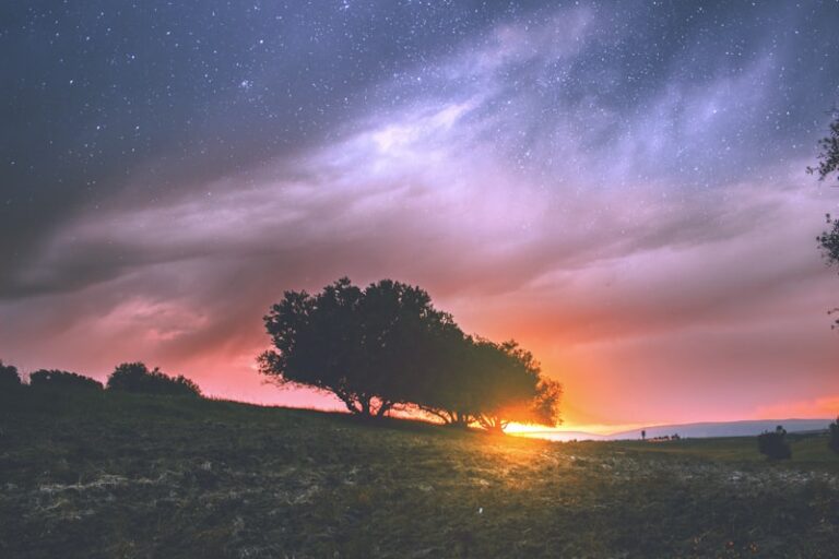Crepuscular Behavior: Why We Thrive at Twilight