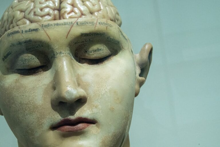 Mechanical Causality: How Our Minds Predict Reality