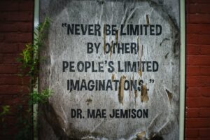 Pseudocommunity: The Illusion of True Belonging