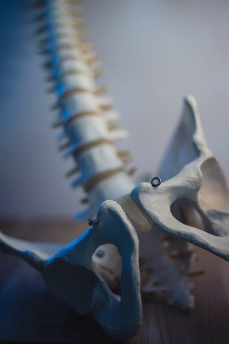 Pudendal Neurology: The Hidden Link to Pelvic Wellness