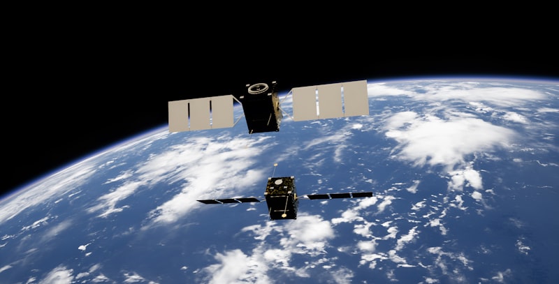 Satellite Male: Decoding Alternative Mating Strategies