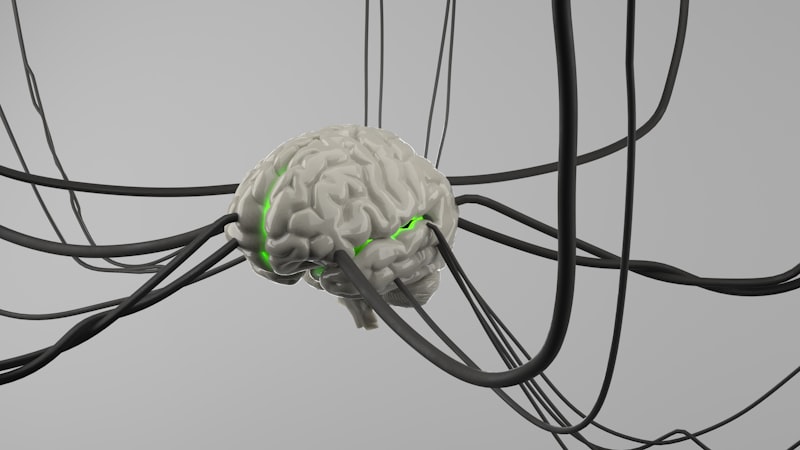 Synaptic Pruning: Sculpting Your Mind for Peak Efficiency