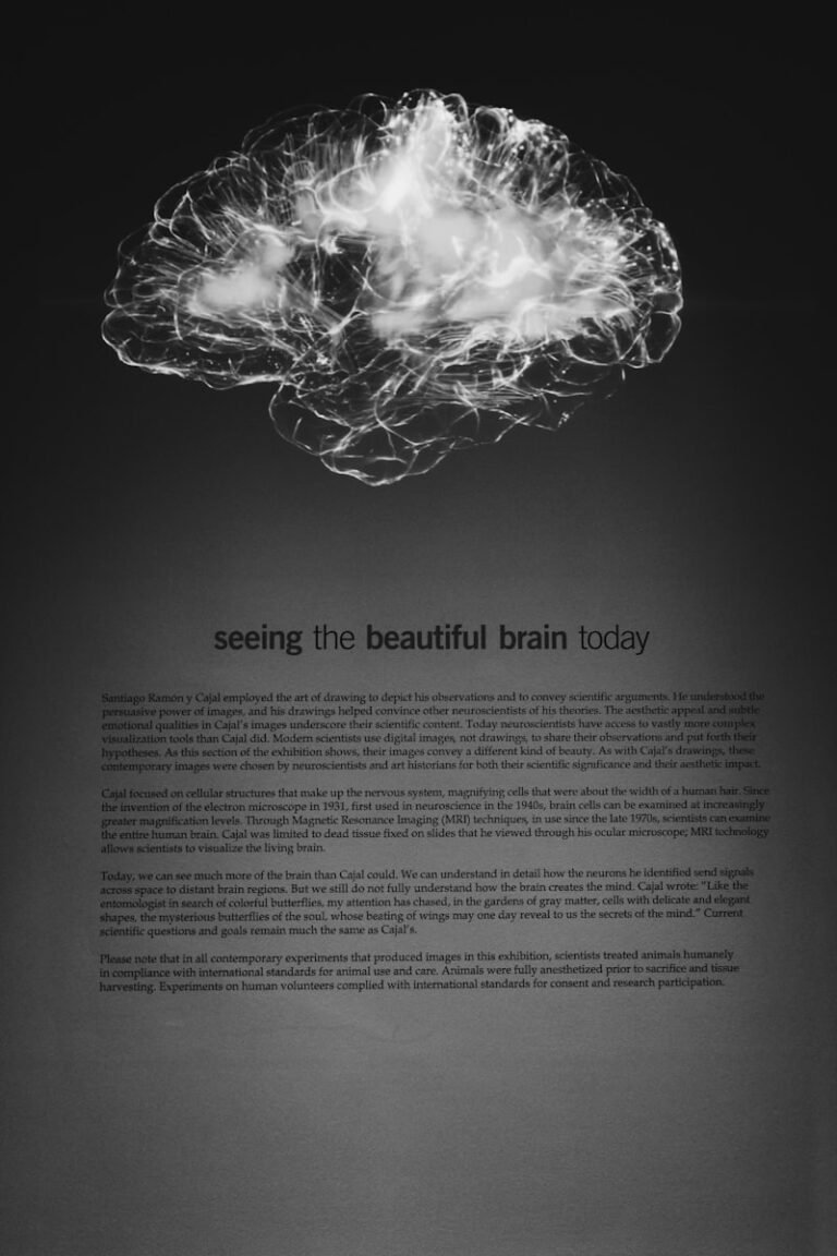 The Descending Reticular System: Master Your Neural Control