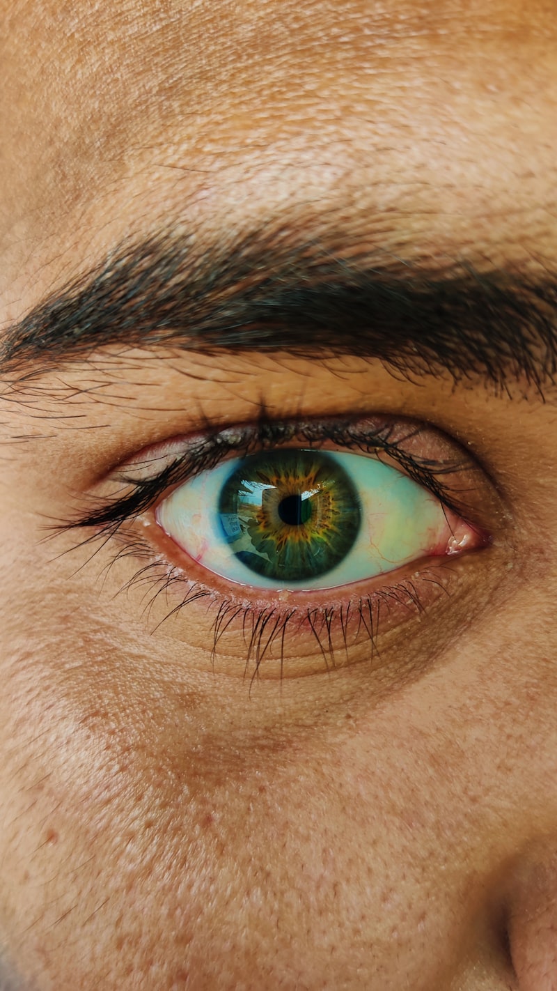 Visual Perception: How Your Eyes Shape Your Reality