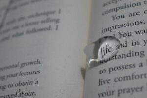 A Posteriori Knowledge: How Life Experiences Shape You